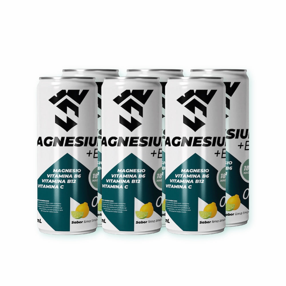 PACK 6 BEBIDAS SPARTAN MAGNESIO + B6 310 ML